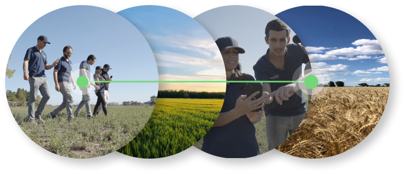 Syngenta Argentina | Cropwise | Agricultura Digital
