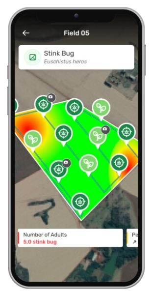 Agronomical insights to faster and more effective decision-making