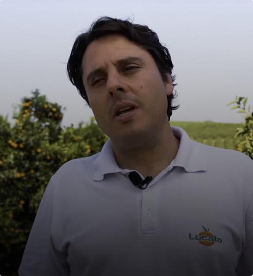 Citrus grower applies less pesticides and has more efficiency in the field