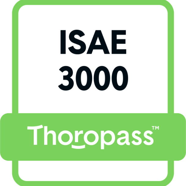 ISAE 3000
