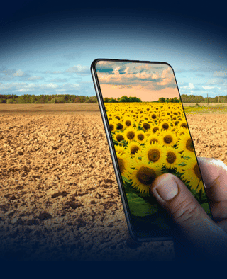 Syngenta | Support | Táblaspecifikus nitrogén utánpótlási javaslat |