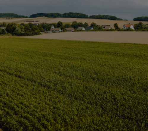 Syngenta | Cropwise Planting | Több érték a mezőgazdaság számára |