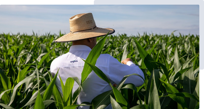 Syngenta | Cropwise planting | precíziós mezőgazdaság |