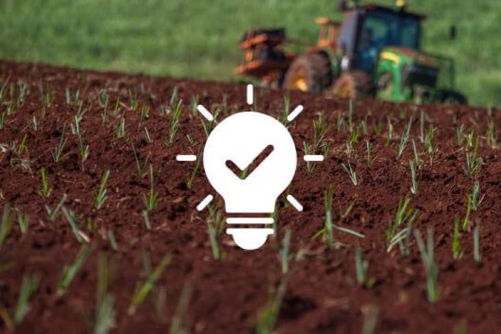 Campo agricolo con giovani piantine appena germogliate su terreno rossiccio. Sullo sfondo si intravedono dei trattori, e sull'immagine è sovrapposta un'icona bianca di una lampadina con un segno di spunta.