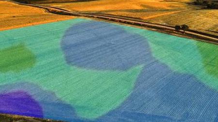 Vista aerea di campi con overlay colorati (verde, blu, viola) utilizzati per l'analisi delle colture nell'agricoltura di precisione.
