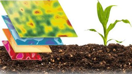 Illustrazione che combina una mappa di dati agricoli a strati con una giovane pianta di mais in crescita su terreno fertile.