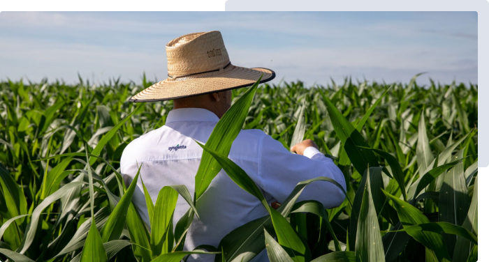 Syngenta | Cropwise planting | agricoltura di precisione |