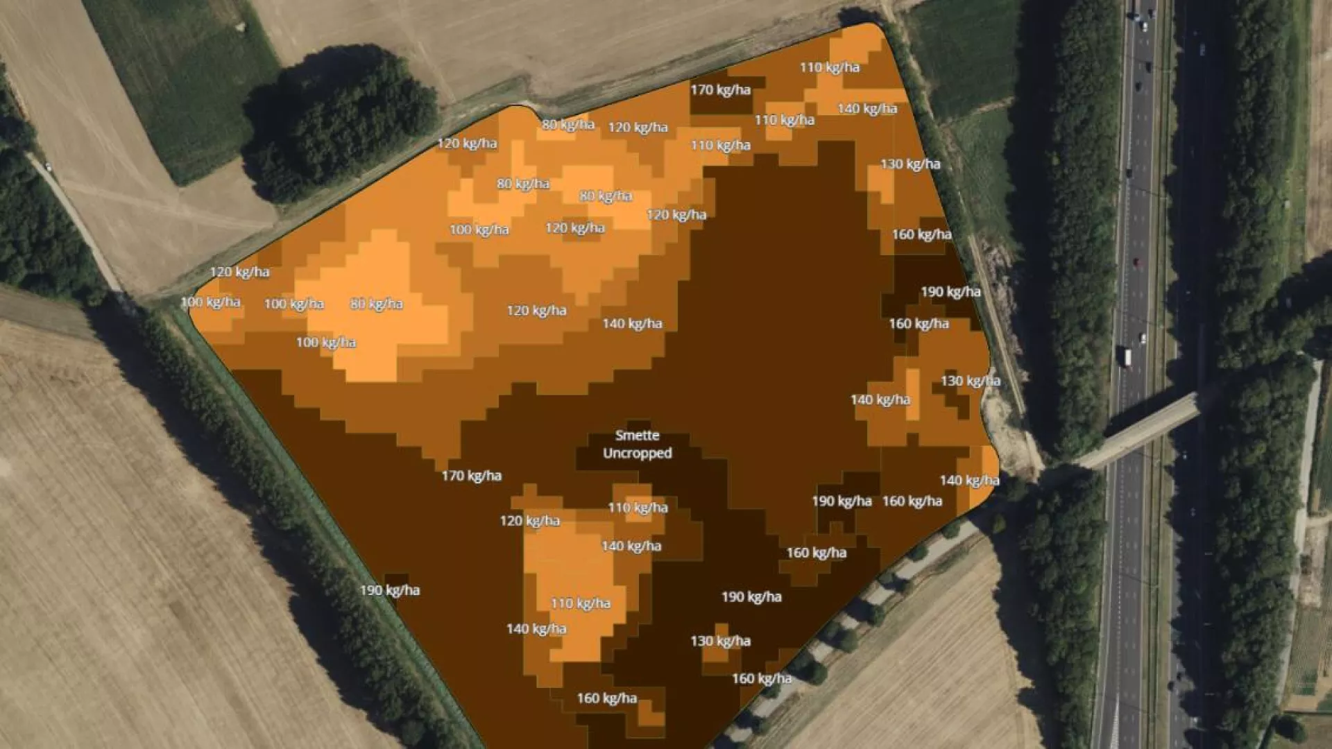 Interra scan map