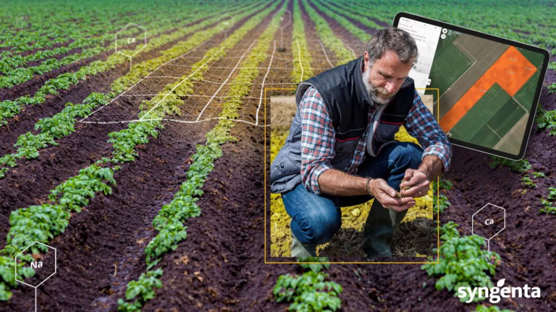 man in field verifying crop with a tablet behind him showing a map of the land