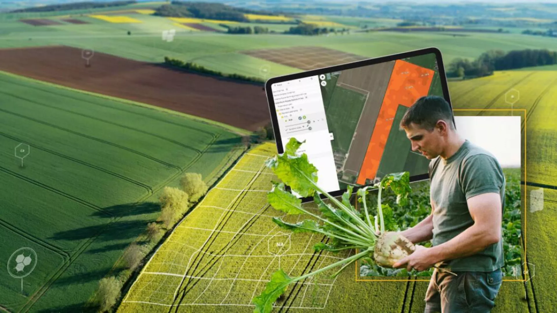 Composite image showing aerial view of diverse agricultural fields with digital mapping overlay, alongside farmer inspecting harvested root vegetable with leafy greens.