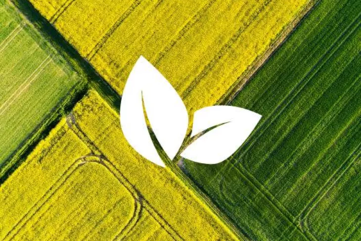 field with two leaf icon in white color