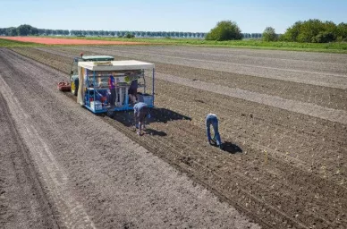 crop harvesting 