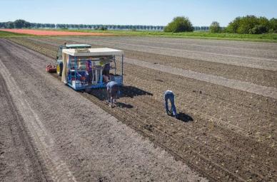 crop harvesting 
