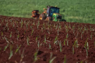 tracktor in field