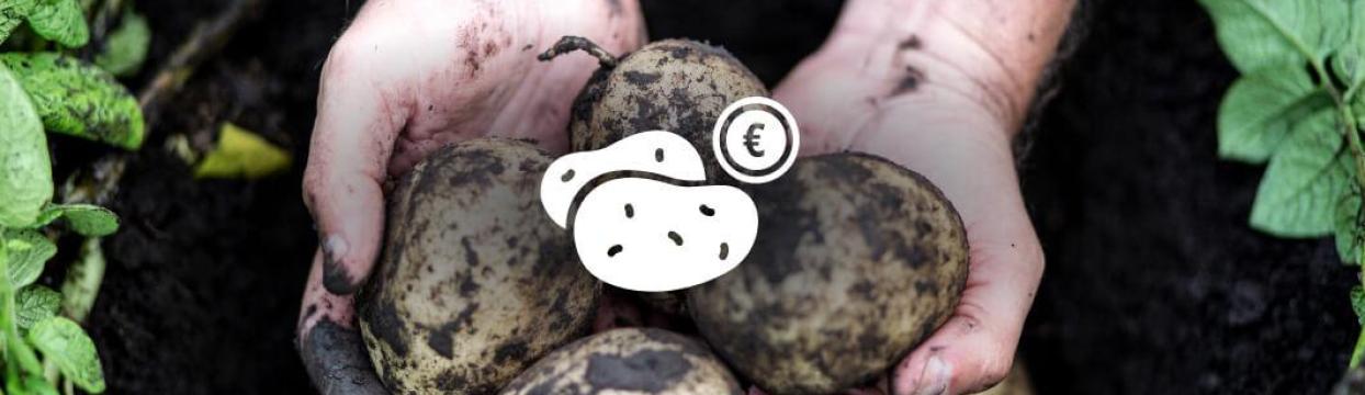 potatoes being held by two hands with a potato icon on top of the image 