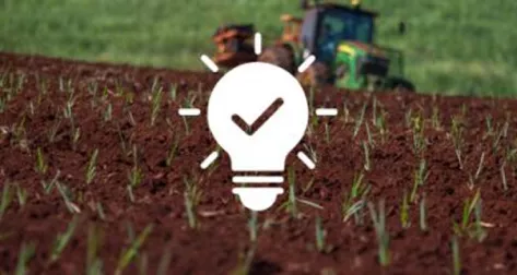 field with lightbulb with a check mark inside icon  