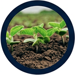 Cropwise Operations