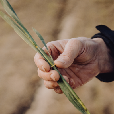 Cropwise