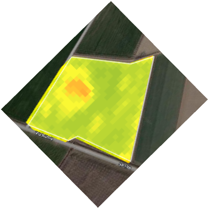 Understand your field variability