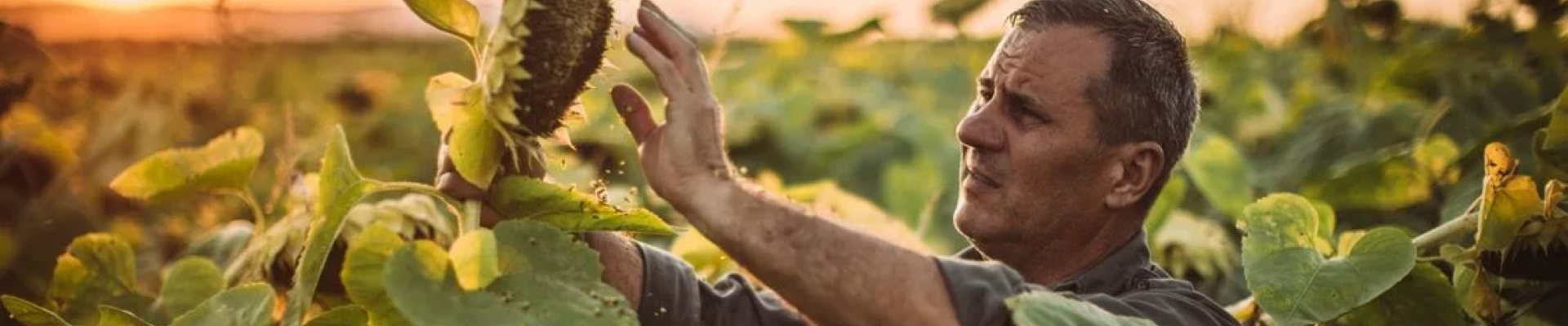 The Advantages of Cropwise® Seed Selector For Your Farm