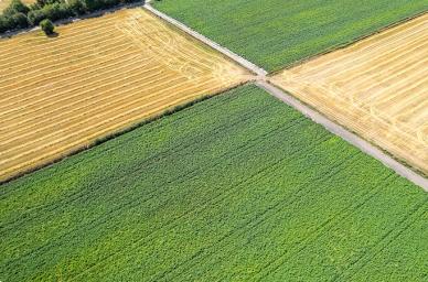 Field variability assessment tool