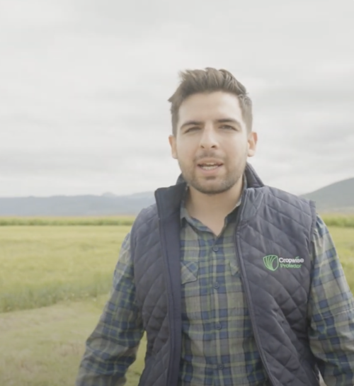 Project PICES: Syngenta and Heineken's Agricultural Revolution with Cropwise Protector
