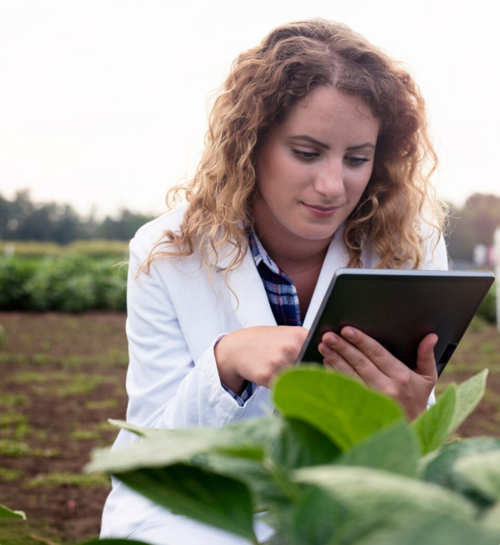 Digital experts will make a difference in agriculture