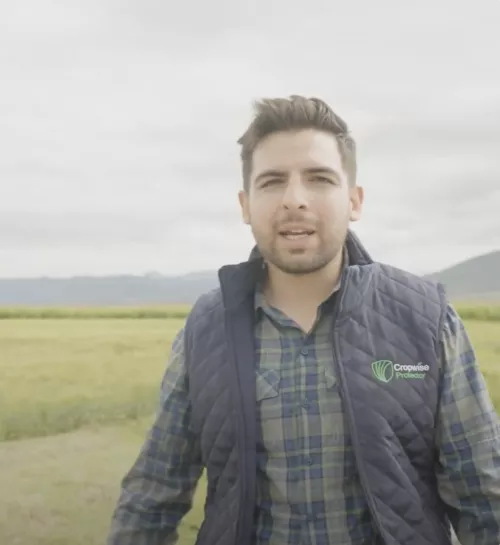 Introducing Project PICES, a ground-breaking collaboration between Syngenta and Heineken, powered by Cropwise Protector.