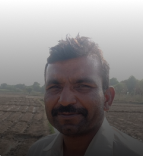 Bottom-middle (Smiling man, arms up): “Cropwise Grower App Transformed My Farm Management. I Easily Track Crops, Spot Diseases, And Buy Products Online. Personalized Advice Boosts Yields And Cuts Waste. I’m Recommending It To Everyone I Know!”