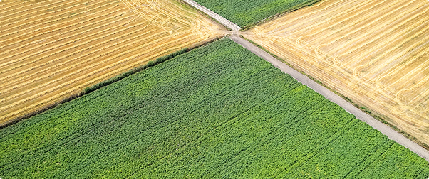 FIELD VARIABILITY ASSESSMENT