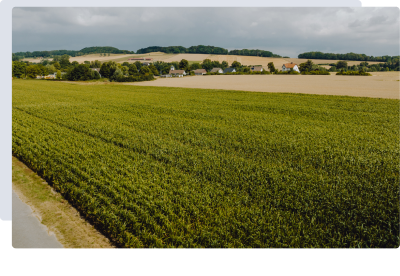 Syngenta | Cropwise planting | előnyök a mezőgazdaság számára |