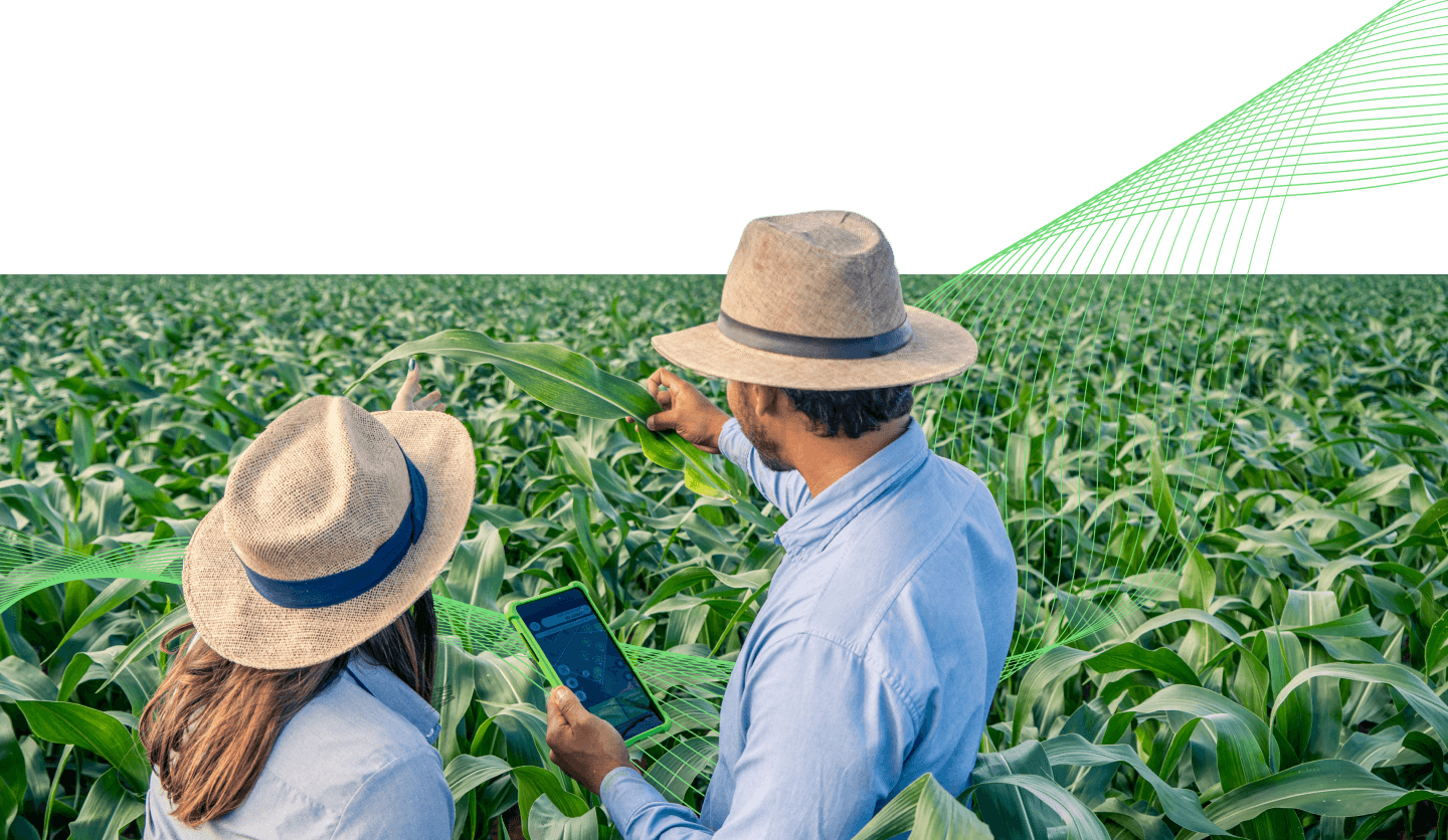 Farmers digitally monitoring their crops