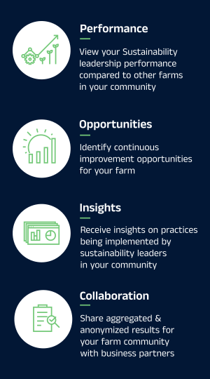 Solution measures your progress in sustainability