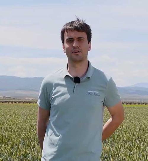 Jorge Armas