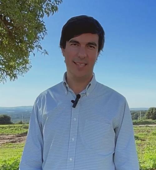 Javier Allende, Productor de aguacate