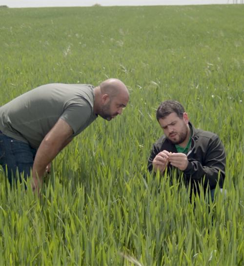 Los datos de los agricultores