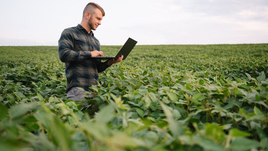 Young agronomist holding tablet in the field