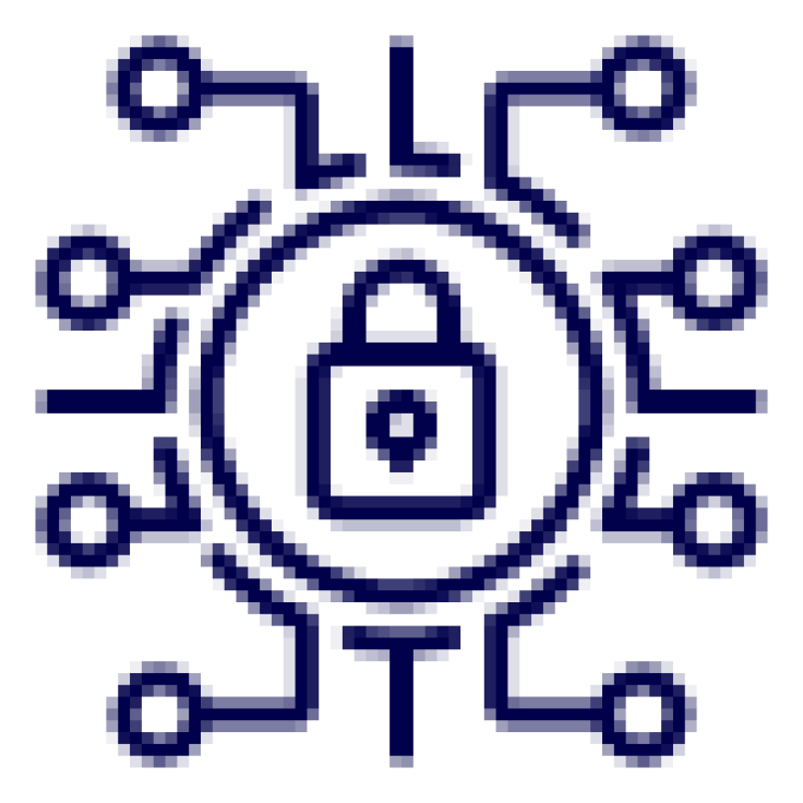 Privacy Icon