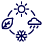 seasonal icon